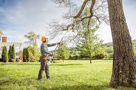 Best Tree Risk Assessment  in , OH