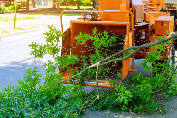 Best Lawn Pest Prevention  in , OH